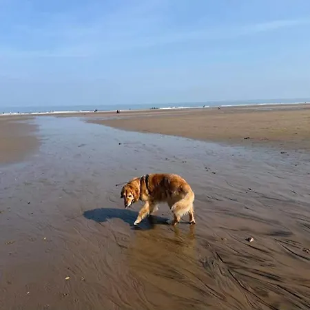 Murray's Rest - In The Bay, Filey